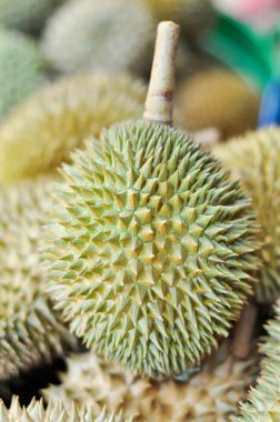 Durian