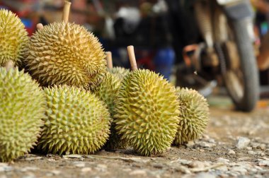 Durian