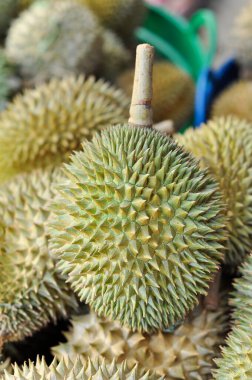 Durian