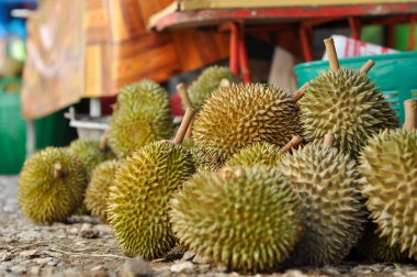 Durian