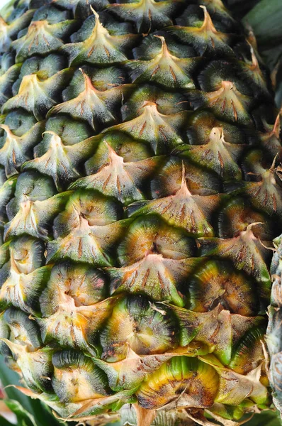 The eyes of the pineapple — Stock Photo, Image