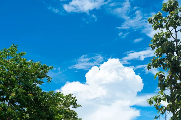 Cielo azul — Foto de Stock