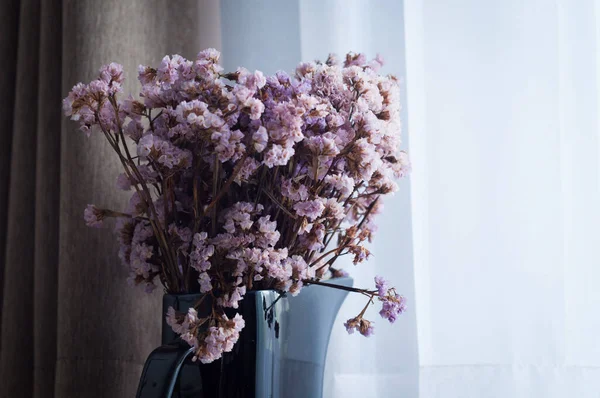 Flores púrpuras secas — Foto de Stock