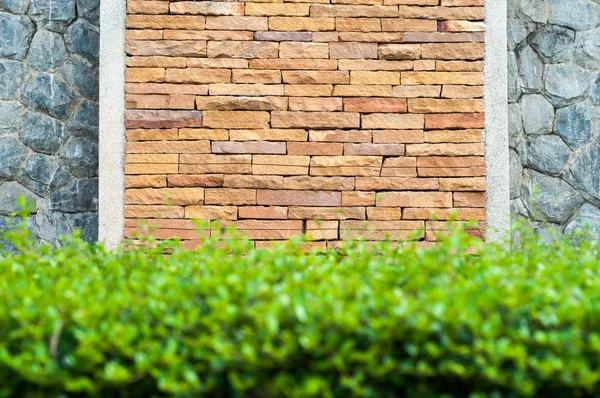 Green bushes and brick wall pattern background — Stock Photo, Image