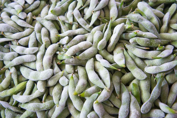 Frozen soya — Stock Photo, Image