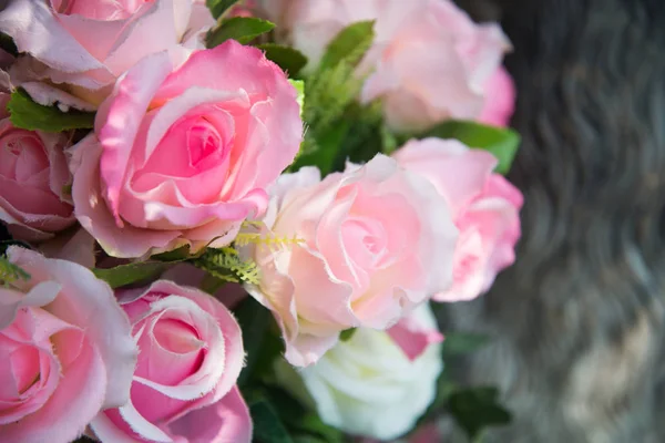 Sweet Roses — Stock Photo, Image