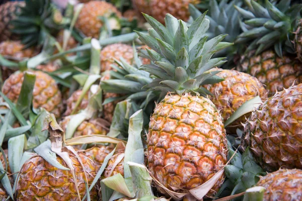 Pineapple — Stock Photo, Image