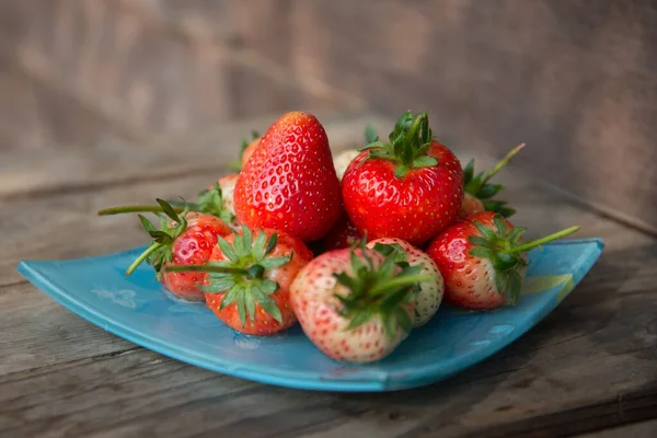 Verse aardbeien — Stockfoto