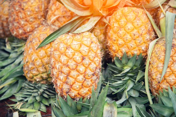 Pineapple from farm — Stock Photo, Image