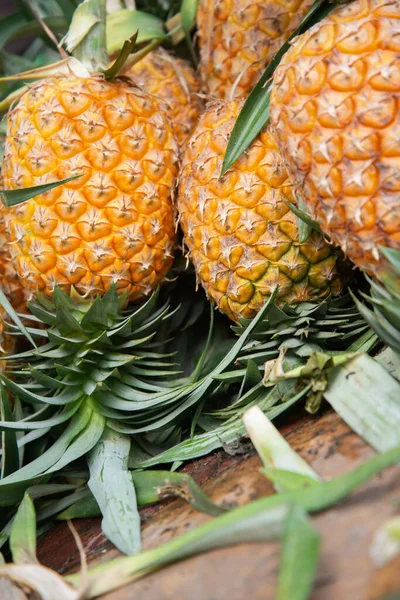Pineapple from farm — Stock Photo, Image