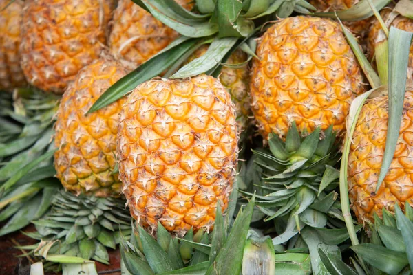 Ananas da fattoria — Foto Stock