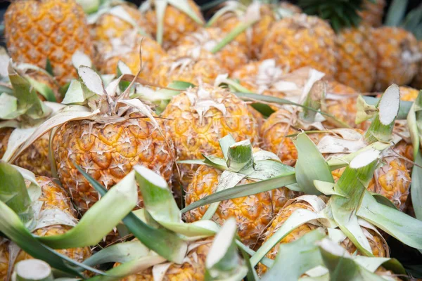 Ananas van de boerderij — Stockfoto