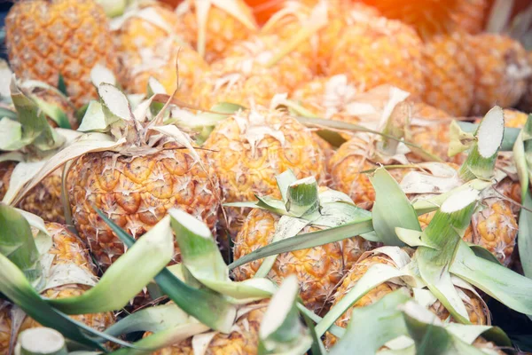 Ananas van de boerderij — Stockfoto