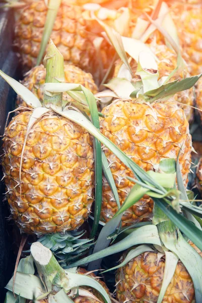 Pineapple from farm — Stock Photo, Image