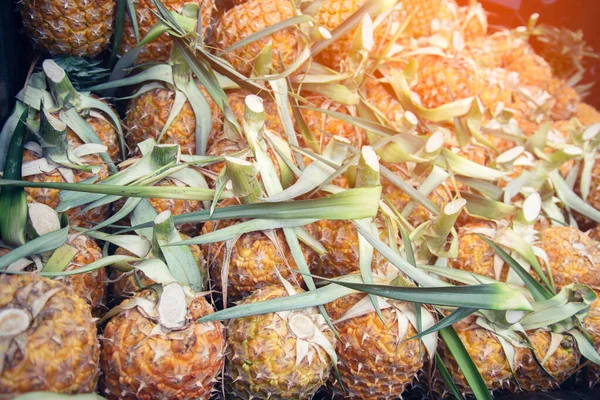 Ananas van de boerderij — Stockfoto