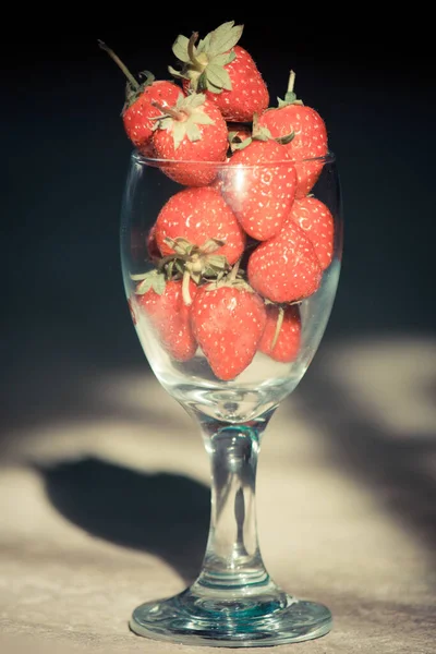 Jordgubbar i långstjälkat glas — Stockfoto