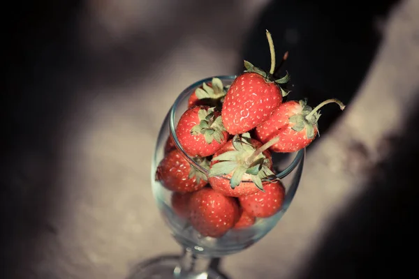 Aardbeien in een langsteelglas — Stockfoto