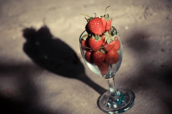 Strawberries in a long stemmed glass — Stock Photo, Image