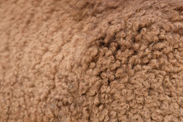 Camel hair — Stock Photo, Image