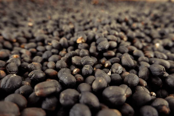 Coffee beans — Stock Photo, Image