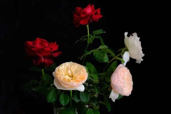 Розы для романтического праздника Валентины — стоковое фото
