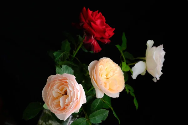 Τριαντάφυλλα για ρομαντικό Φεστιβάλ του Αγίου Βαλεντίνου — Φωτογραφία Αρχείου