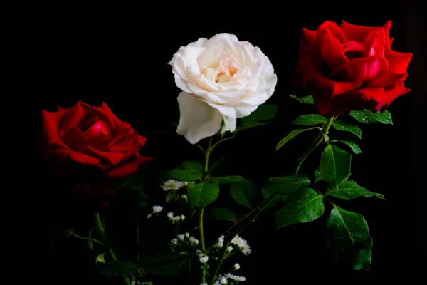 Rosas para San Valentín romántico Festival —  Fotos de Stock