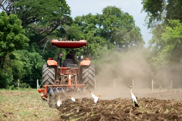 Çiftçiler Yengeci Yetiştirmek Için Traktörü Kullanırlar — Stok fotoğraf