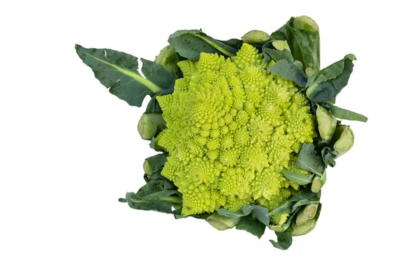 Romaanse broccoli — Stockfoto