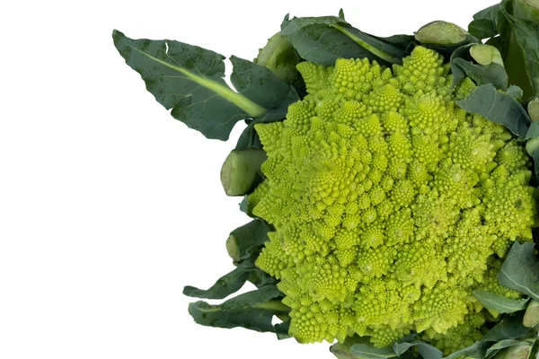 Romanesco μπρόκολο — Φωτογραφία Αρχείου