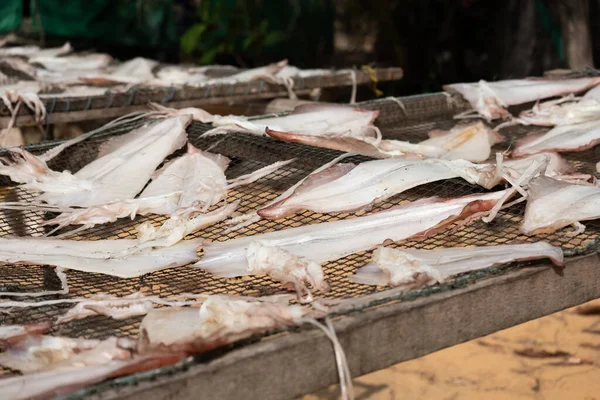 Balıkçılar Güneşte Kurutulmuş Kalamar Yapmak Için Mürekkep Balıklarının Değerini Arttırmanın — Stok fotoğraf