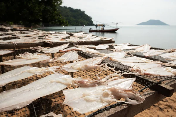 Pescadores Têm Uma Maneira Aumentar Valor Lula Capturada Colocando Sol — Fotografia de Stock