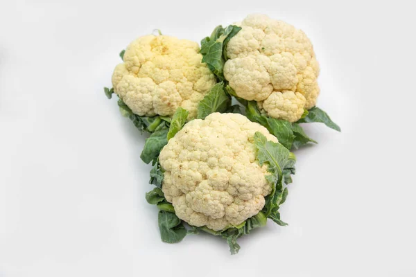 Cauliflower Plant Cruciferous Family Well Broccoli Cabbage — Stock Photo, Image