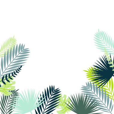 Tropikal vektör çerçeve bırakır. Palmiye ve monstera alt kenarlığını izole bırakır