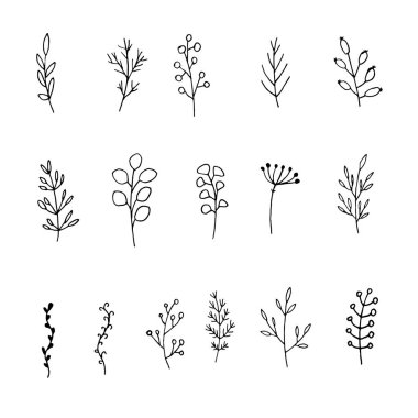 Siyah çizgili el çizgileri Dallar, yapraklar ve böğürtlenler