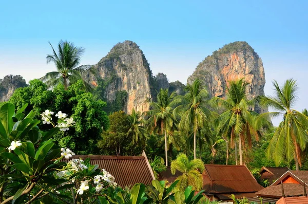 Tropikalnej roślinności, w pobliżu plaży Railay w Krabi, Tajlandia — Zdjęcie stockowe