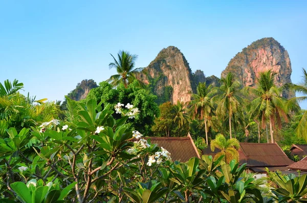 Paesaggio tropicale vicino a Railay beach, Krabi, Thailandia — Foto Stock