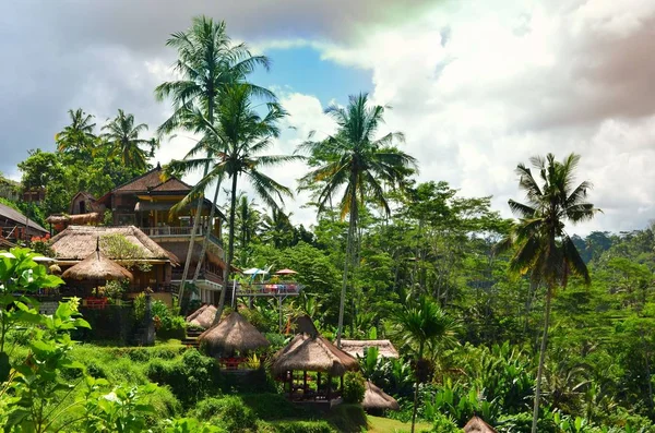 Tegalalang rijst terras Bali Indonesië — Stockfoto