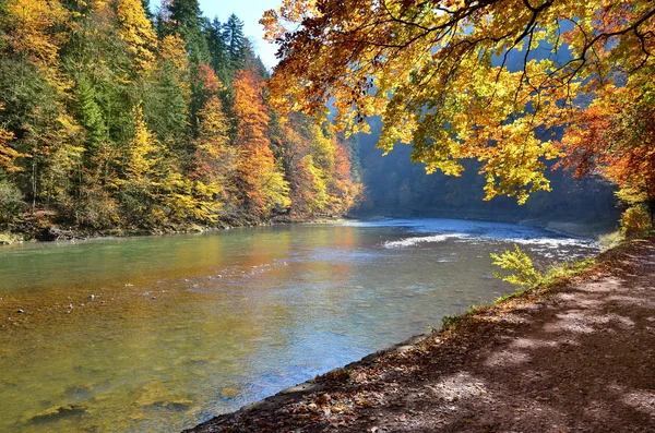 森や山の秋 — ストック写真