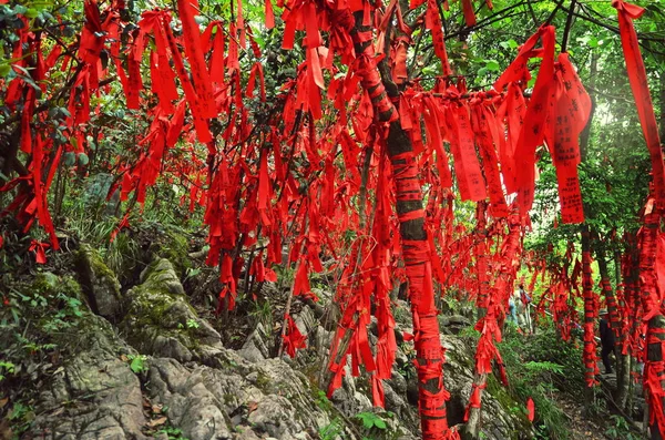 Zhangjiajie, Kina - 10 maj 2017: Detalj av röda band i önskan Forest Zhangjiajie National Park, Kina. — Stockfoto