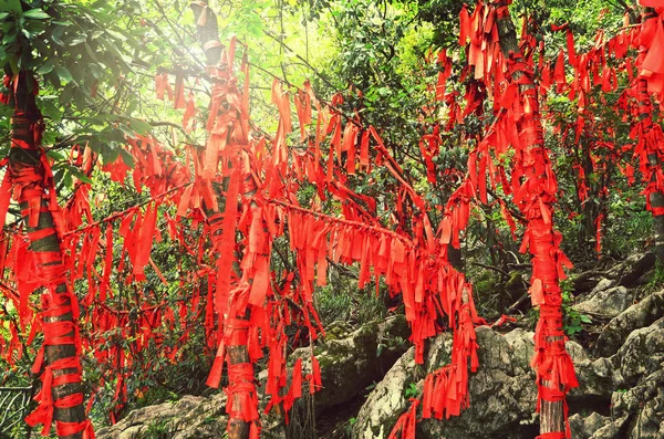 Zhangjiajie, Cina - 10 maggio 2017: Particolare dei nastri rossi nel parco nazionale Wish Forest Zhangjiajie, Cina . — Foto Stock