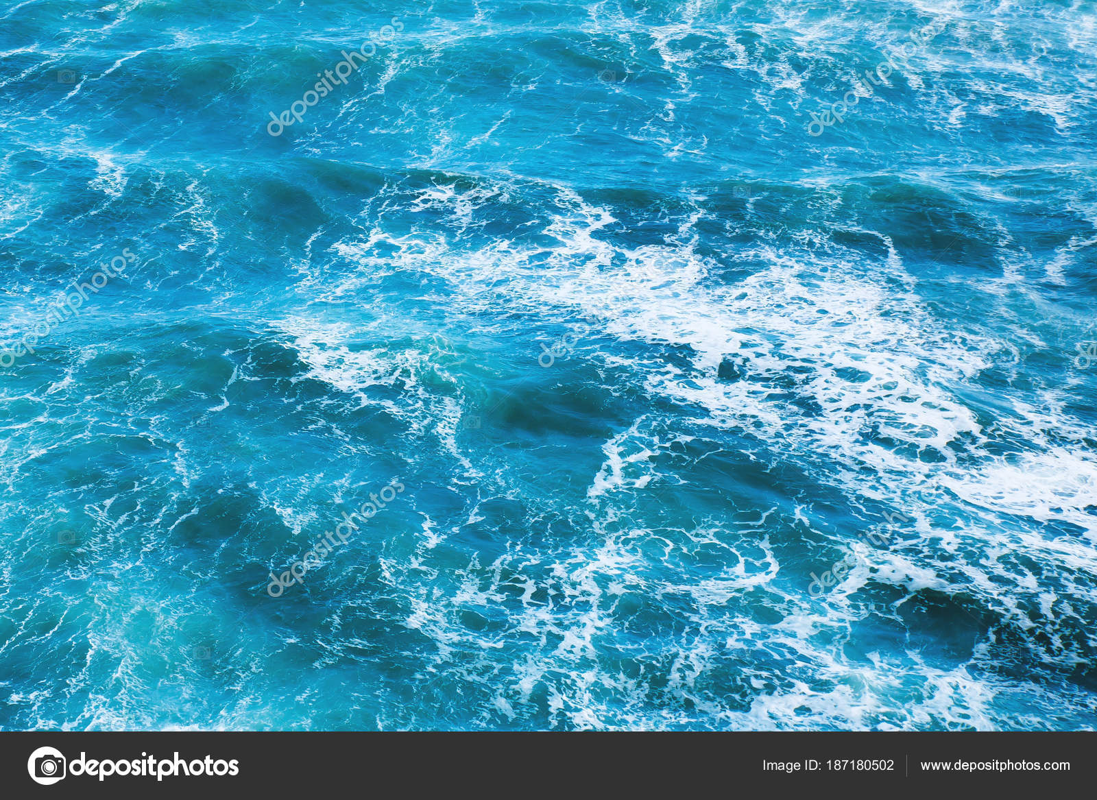 Hidroponia Con Agua De Mar