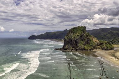 Aslan kaya Piha Beach, Batı Sahili Auckland, Yeni Zelanda
