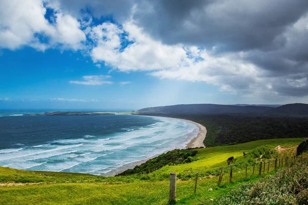 Widok Oceanu Spokojnego Otago Nowa Zelandia — Zdjęcie stockowe