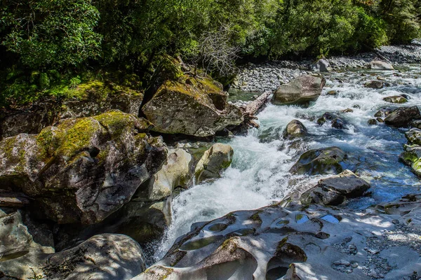 Pequena Cachoeira Floresta Nova Zelândia — Fotografia de Stock