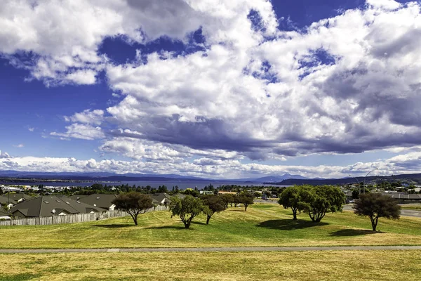 Green lawn with trees and lake view in Taupo, New Zealand