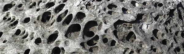 Panoramic form texture image of porous stone