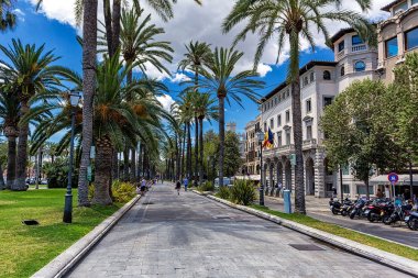 Palma de Mallorca ile lots-in avuç içi ve tarihi binaların sokak