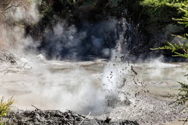 Exploderande Het Lera Pool Wai Tapu Thermal Wonderland Rotorua Nya — Stockfoto