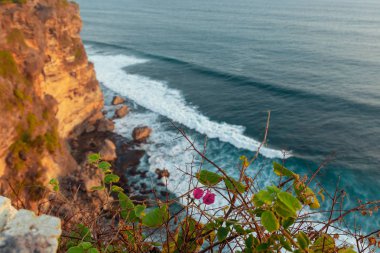 Uluwatu tapınağında çiçekler ve yüksek kayalıklar ile Akşam deniz manzarası, Bali